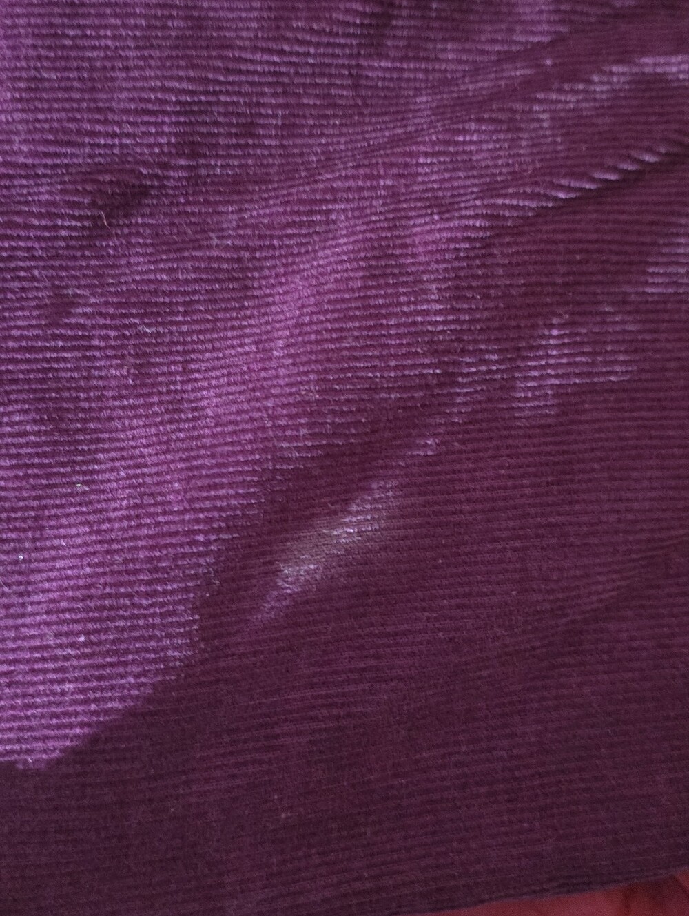 Pilgrim Corduroy Shirt in Deep Plum - Picture 4 of 4
